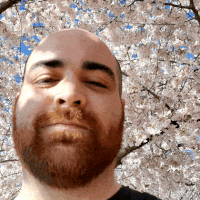 Animated image of Phillip Kent Knight looking shifty infront of blossoming cherry trees